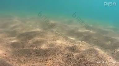 从海底拍摄的水下镜头